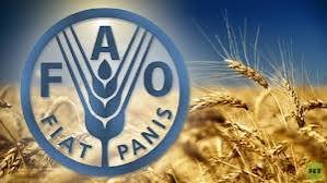 وزير الزراعة يدعو الفاو لدعم السودان 12 وزير الزراعة يدعو الفاو لدعم السودان