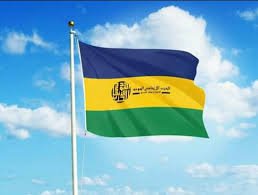 محمد عصمت ينتقد القوى السياسية