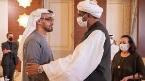 تحقيق استقصائي يكشف معلومات خطيرة بشأن دعم الإمارات للمليشيا 13 تحقيق استقصائي يكشف معلومات خطيرة بشأن دعم الإمارات للمليشيا