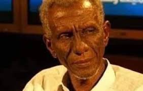 إسحاق أحمد فضل الله يكتب:حلفا وأولاد الأسود 