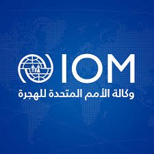 نزوح نحو 6400 أسرة نتيجة لهجمات المليشيا بشمال دارفور 13 نزوح نحو 6400 أسرة نتيجة لهجمات المليشيا بشمال دارفور