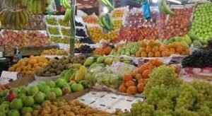 توقف 70% من شركات الصادر 12 توقف 70% من شركات الصادر