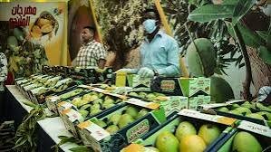 توقف 70% من شركات الصادر 13 توقف 70% من شركات الصادر