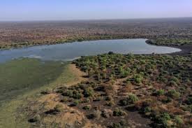 اعتقال رئيس تحرير 12 اعتقال رئيس تحرير