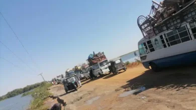 ١٣ ٥٤ ٢٤ نزوح سكان الجزيرة ابا 768x480.jpg