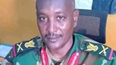 021c7427 234e 42a6 8a7c 955d2b54639e