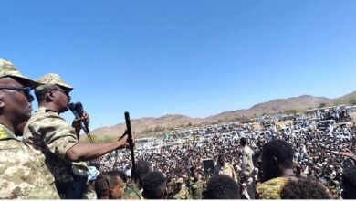 07e32bb5 0671 47a3 8321 857d327dcfee