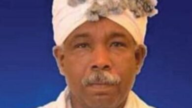 113e6e62 b7d2 4406 b692 1ab8aea092d0