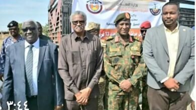 دعم من الشركة السودانية للمعادن لقرى قلع النحل 16 1736175279402