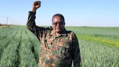 محافظ مشروع الجزيرة يوجه بإعداد خطة زراعية للعام 14 1737285826512