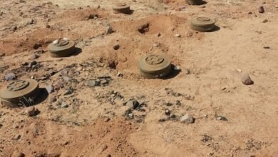 1778c573 3ad1 47dc bffd cc16f2bfa064