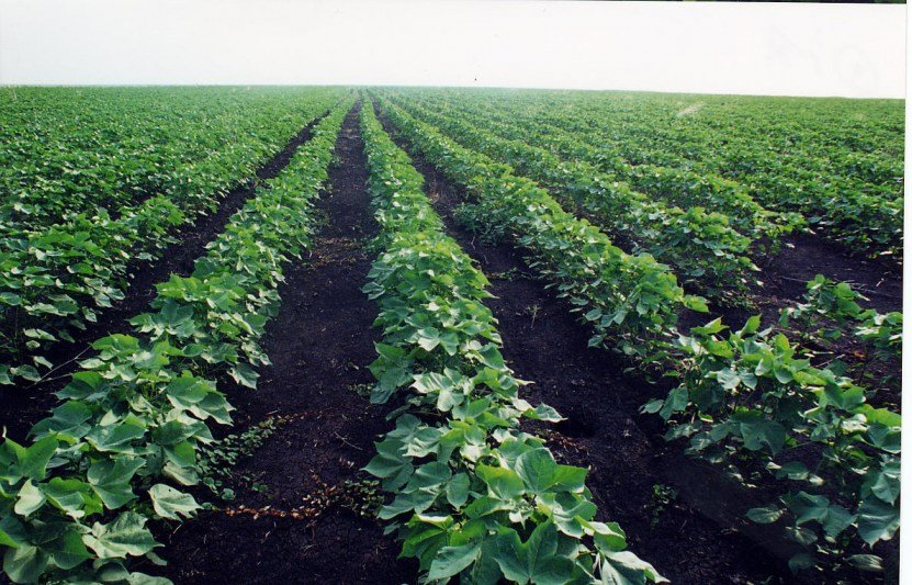 20170618 1497791891 510 large