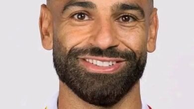 4005c969 c3de 4d78 b12a 131b783a0457