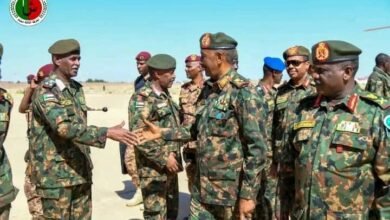 4031652e 866f 4e76 b142 01876bbcb63d