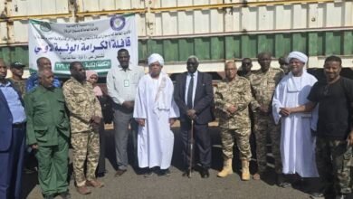 41546ddf d785 4d07 b18d 260efa7f44c5