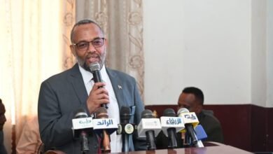 43aee8ea 1d3b 42f8 a382 f309ed7fd2e3