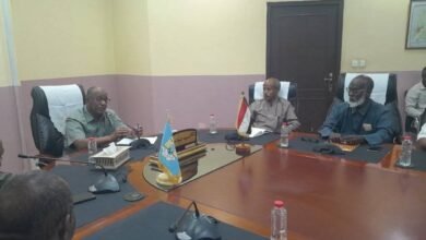 462a833e 874b 4fcb 9d0a aa8908df822a