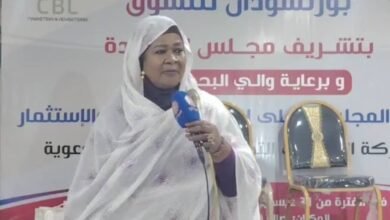 وزير الاستثمار تتحدث عن خطة لجذب الاستثمارات 16 48e951ef 9189 46ec 8601 692461e20859