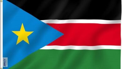 716G8pDUsUL. AC UF10001000 QL80