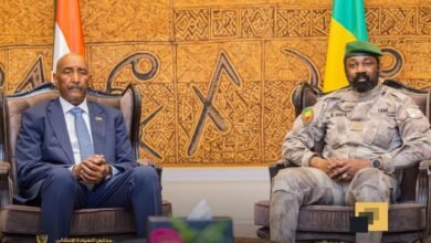 8391c242 5446 4995 b6f1 6723d991da6c