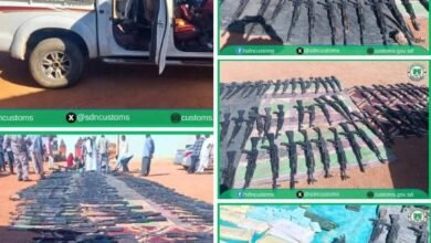 97c7807a 0234 47dd a22c 4ec2de3fbe0e