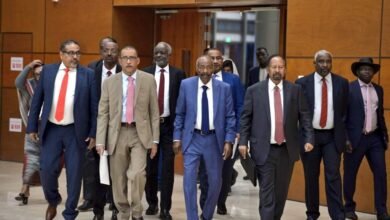 FB IMG 1719958864533