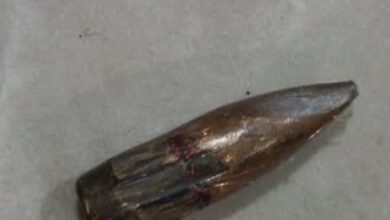 Screenshot 20250112 131620 Chrome