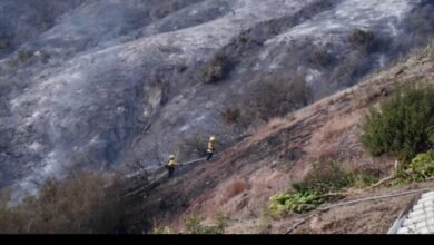 Screenshot ٢٠٢٥٠١١٤ ١٥٤٤١٩