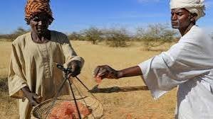 جلسة مجلس الأمن عن المجاعة في السودان..ماذا قال المختصون
