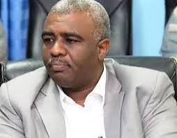  إبراهيم شقلاوي يكتب: الفاشر، ستالينغراد السودان!