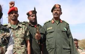 كيكل يعلن عن تحرير مناطق مهمة بالجزيرة