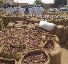 جلسة مجلس الأمن عن المجاعة في السودان.. ماذا قال المختصون