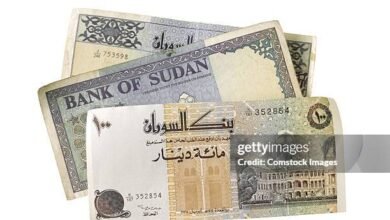 sudan currency