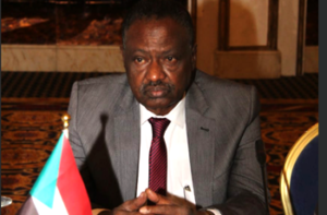 راشد عبد الرحيم يكتب: تشاد ورد الجميل 13 راشد عبد الرحيم يكتب: تشاد ورد الجميل