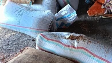 ١١ ٥٤ ٠٠ IMG 20250101 WA0027 520x405 1