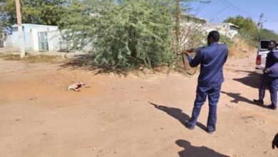 ١٨ ٥١ ٤٨ حملة ابادة الكلاب الضالة بمدني 780x470 1