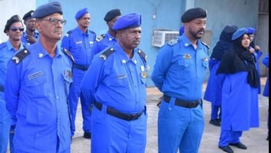 03dd1f00 102b 465b 9c33 3e4c22f919f5