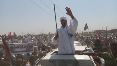 09baaf12 becc 46c9 b4db a746d6c0e2c5