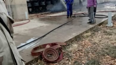 11da1697 e40a 45e6 b386 76b7e90ae324