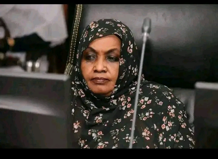 انطلاق رحلات العودة الطوعية من بورتسودان إلي ولاية الجزيرة 11 1738412589027