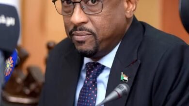 مؤتمر وزراء الثقافة العرب يصدر بيانه الختامي 14 1739536789807