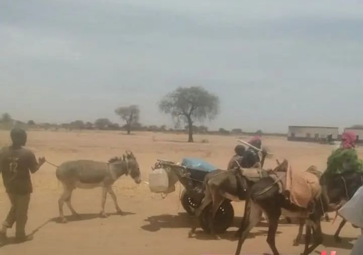 نزوح جماعي من مخيم زمزم للاجئين 11 17397805963042