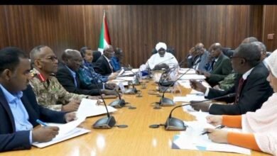 1ebfe932 7e47 4c83 86b2 340e14eb89f2