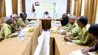 223e8317 7087 4a20 bd86 5bf36ca82aff