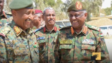 2f74c3c2 796e 47dc 9924 a7fec7487b45