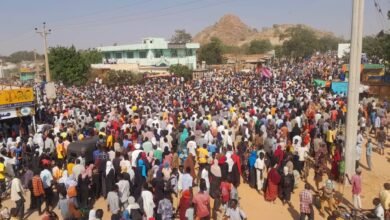 87ad7c1e e425 43ed 9ad1 75fb6fe7d0c8