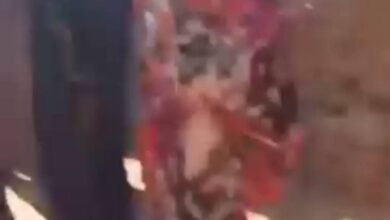 92b8700f ca0c 45a0 af41 971a940e939e