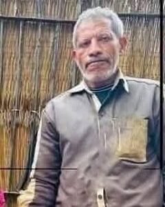 أسد يثير الذعر بهذه المدينة