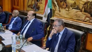 وزير الخارجية يقدم تنويرا مهما عن الحرب بالقاهرة 14 IMG 20250209 WA0015 1
