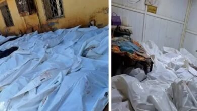 Screenshot 20250201 214742 Lite